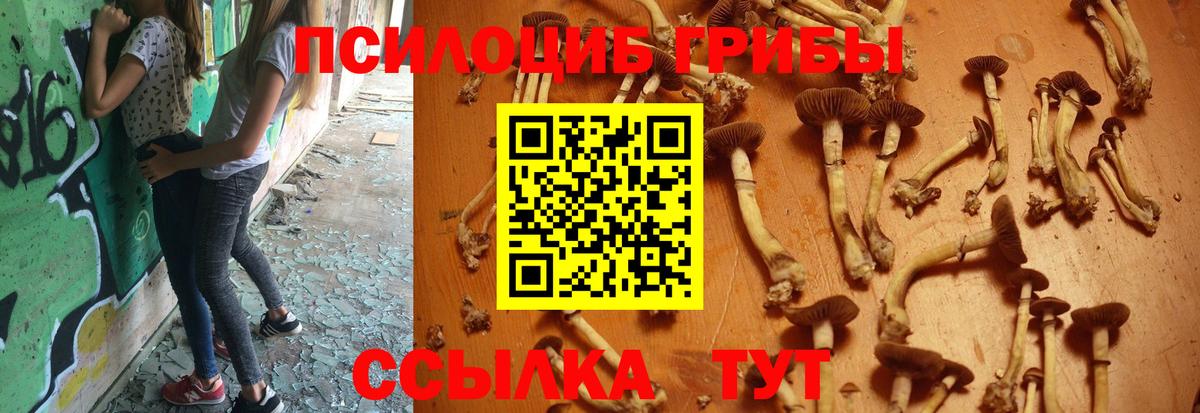 Псилоцибиновые грибы мухоморы Саяногорск