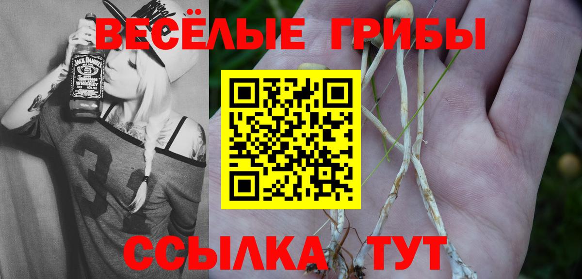 Саяногорск  Галлюциногенные грибы GOLDEN TEACHER  Галлюциногенные грибы прущие грибы  Вход с VPN 